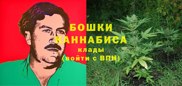 2c-b Вяземский